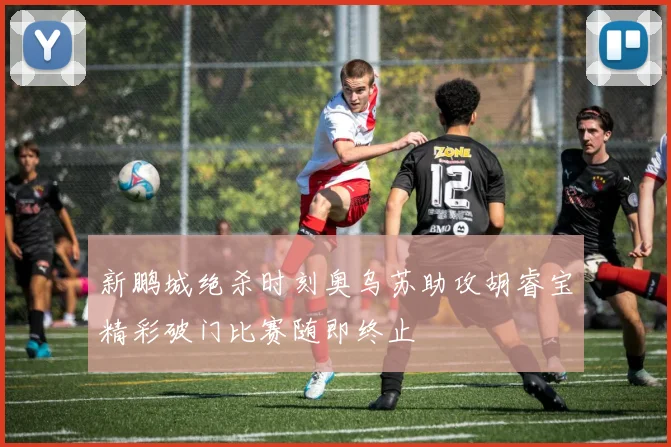 新鹏城绝杀时刻奥乌苏助攻胡睿宝精彩破门比赛随即终止